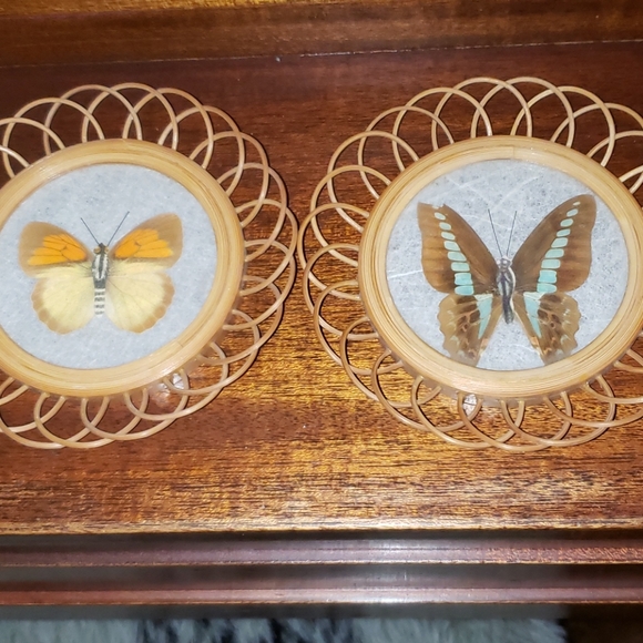 Bamboo Wicker Butterfly Coaster Set. - Picture 2 of 7